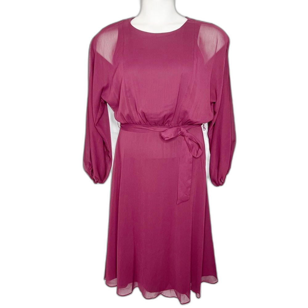 DKNY Burgundy Chiffon Dress 6